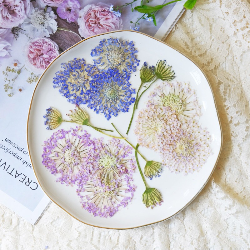 12 Pezzi di Fiori di Perle di  - Dried Flower Bookmark recensione e prezzo