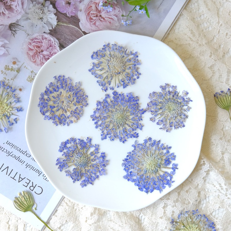 12 Pezzi di Fiori di Perle di  - Dried Flower Bookmark recensione e prezzo