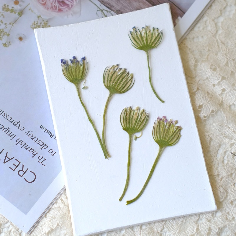 12 Pezzi di Fiori di Perle di  - Dried Flower Bookmark recensione e prezzo