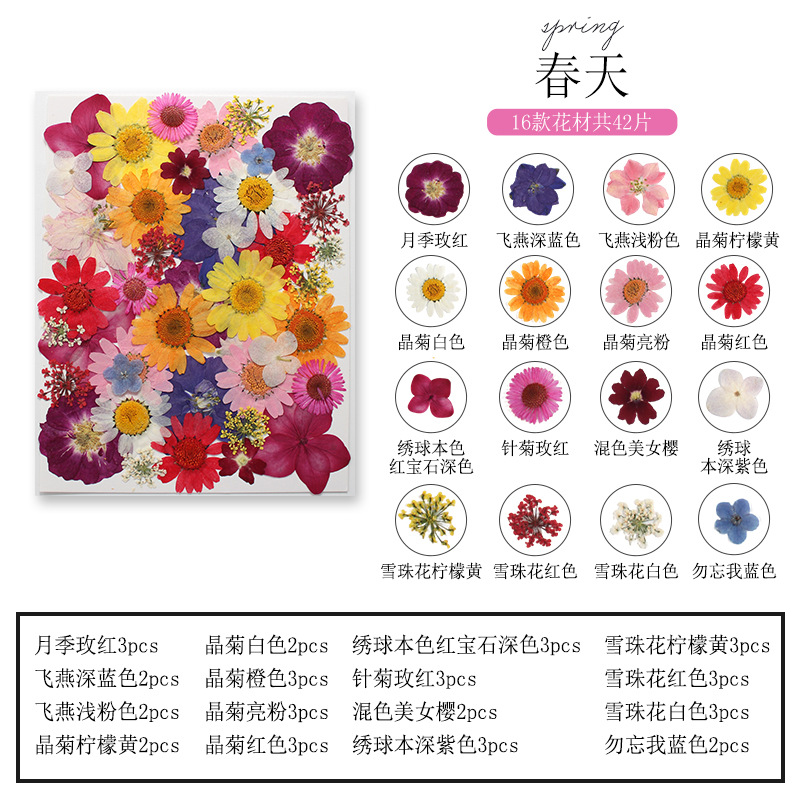 Set di Fiori e Foglie Naturali - Dried Flower Bookmark recensione e prezzo
